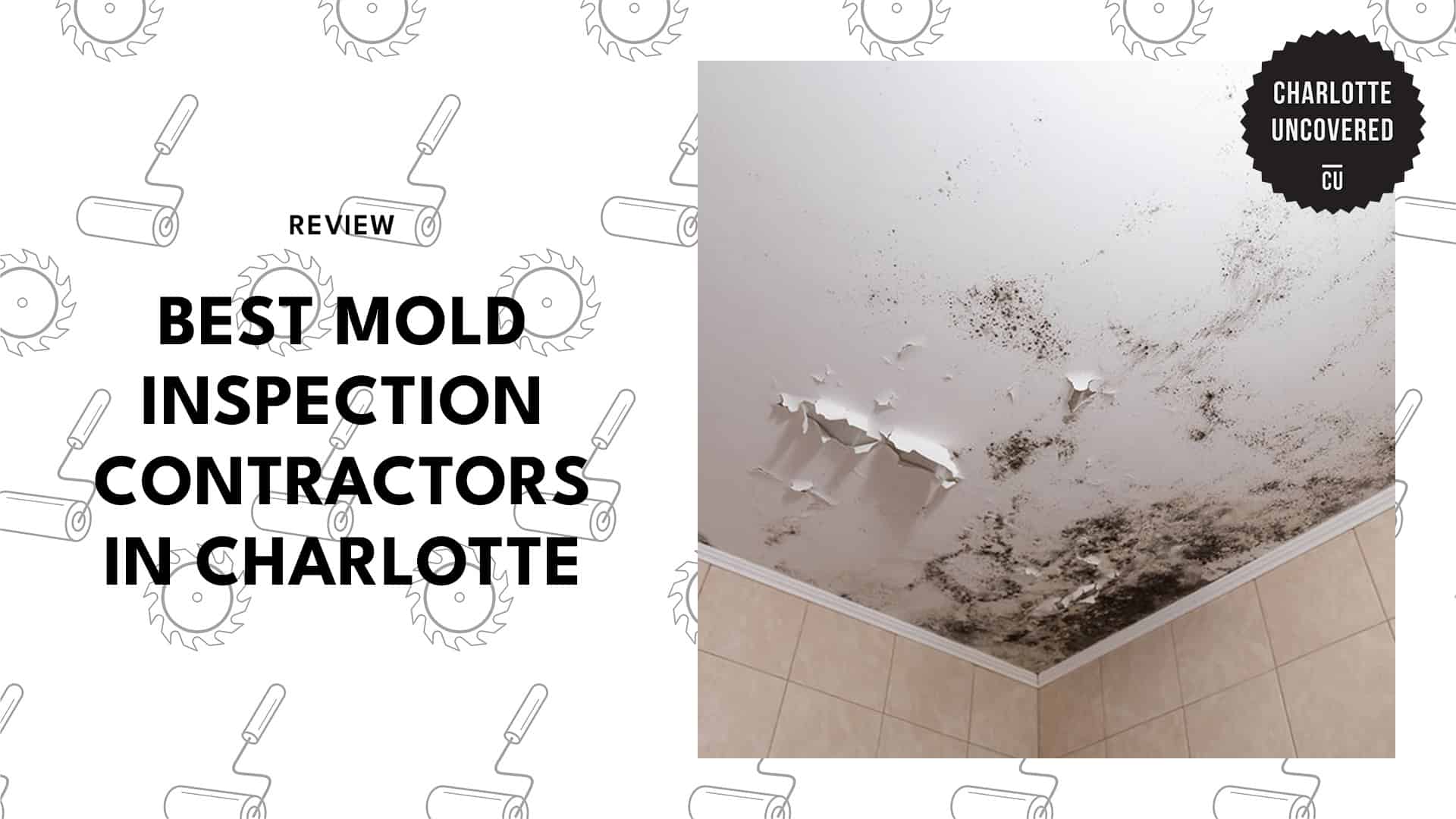 mold-inspection-charlotte-banner