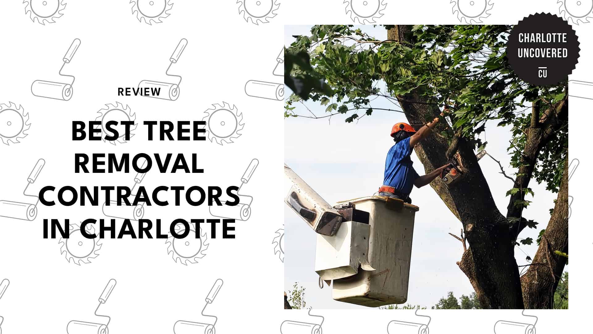 tree-removal-charlotte-banner
