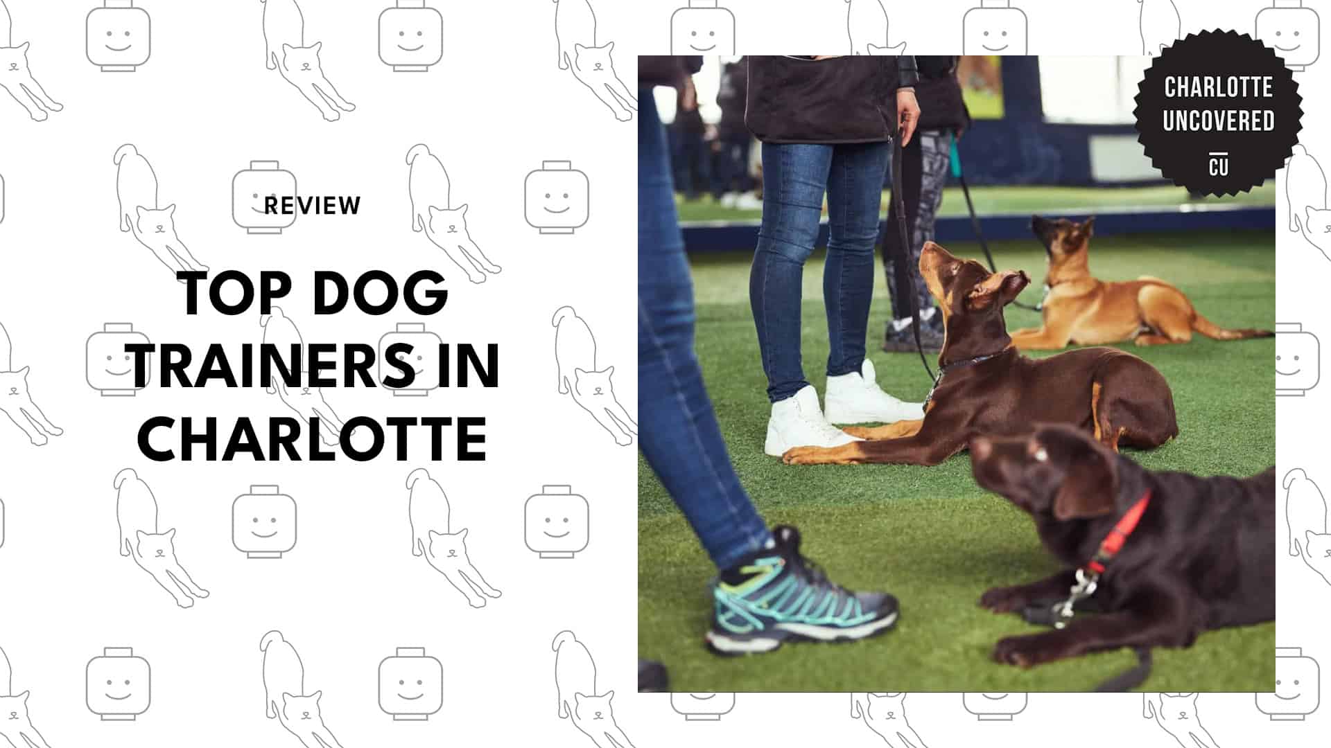 best-dog-trainers-charlotte-banner