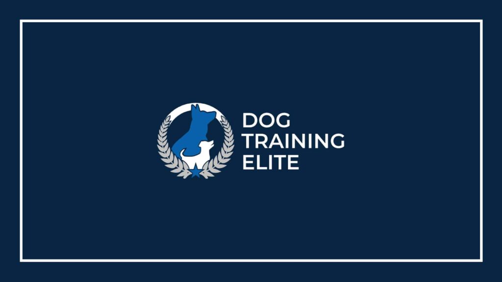 dog-training-elite-charlotte-logo