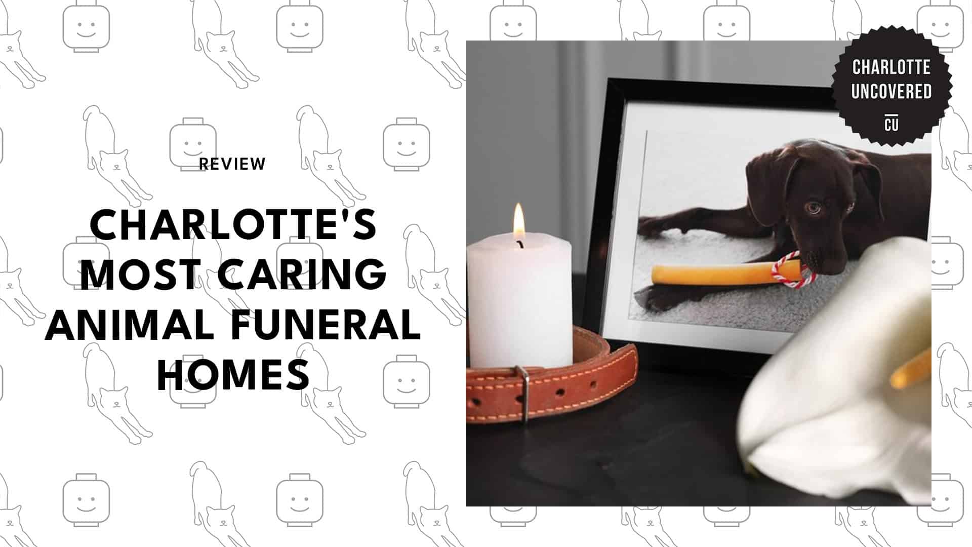 animal-funeral-services-in-charlotte