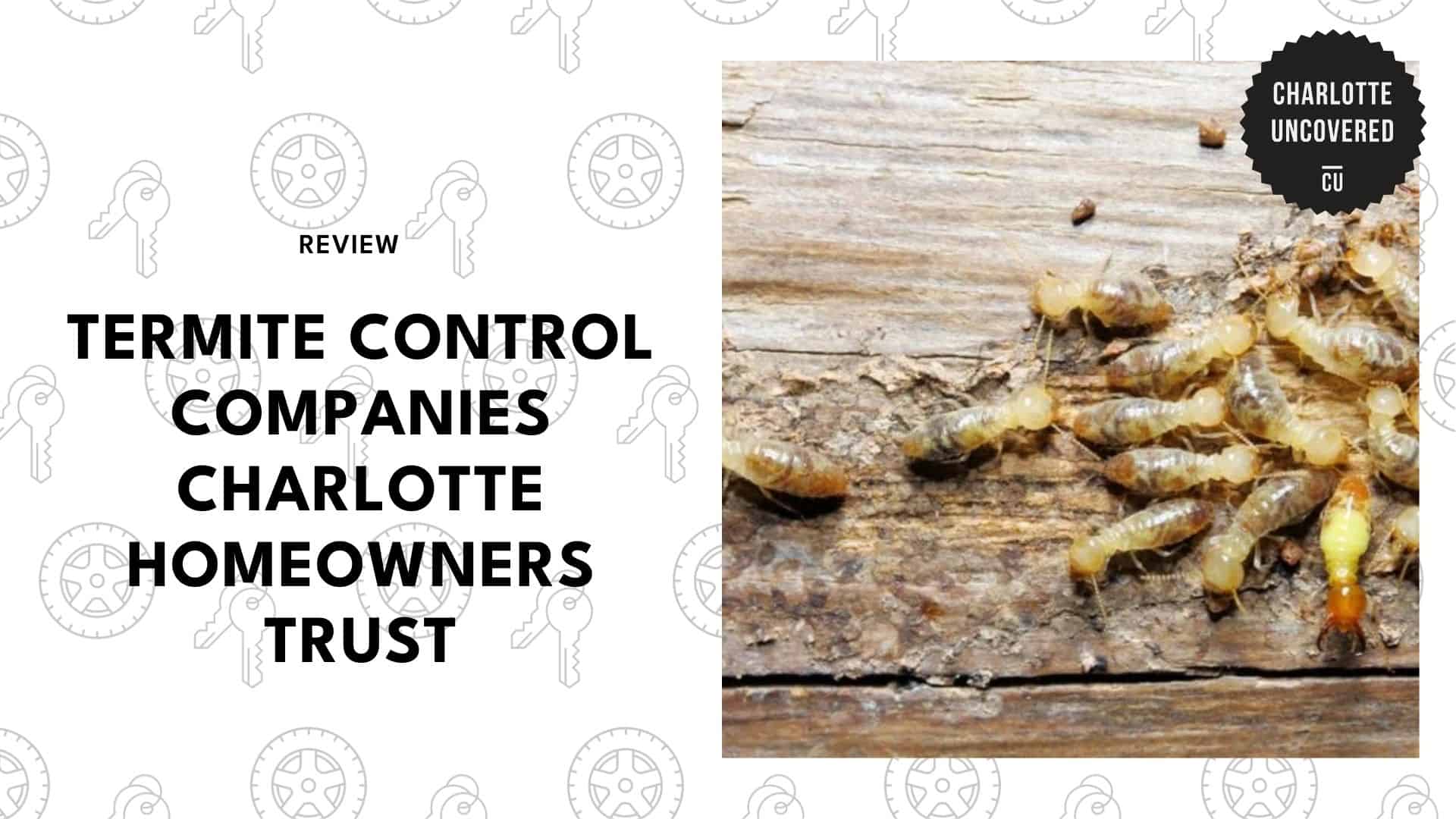 best-termite-control-charlotte