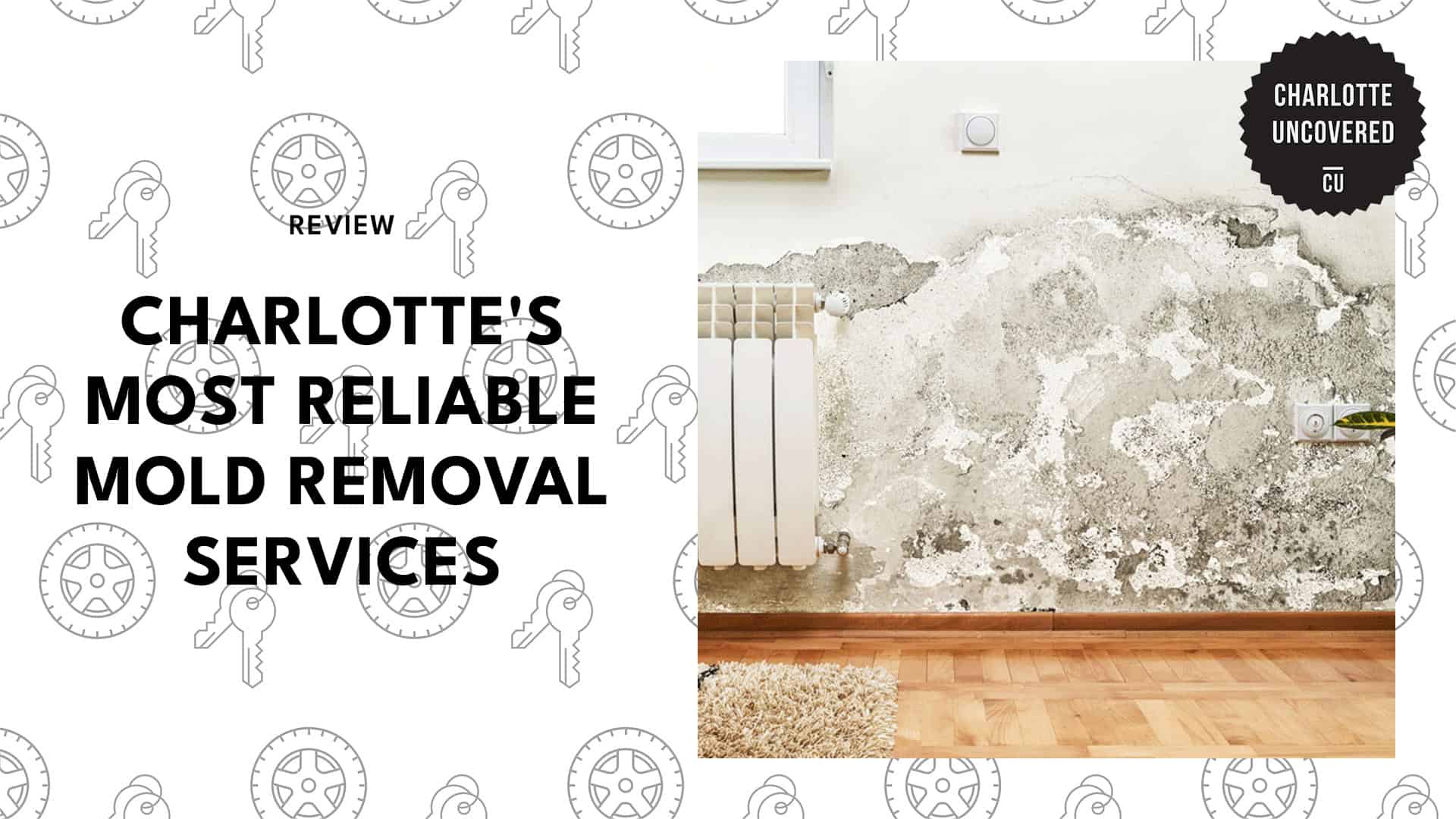 mold-removal-companies-in-charlotte