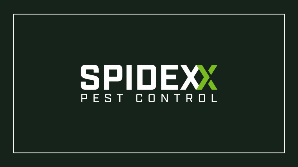 spidexx-pest-control