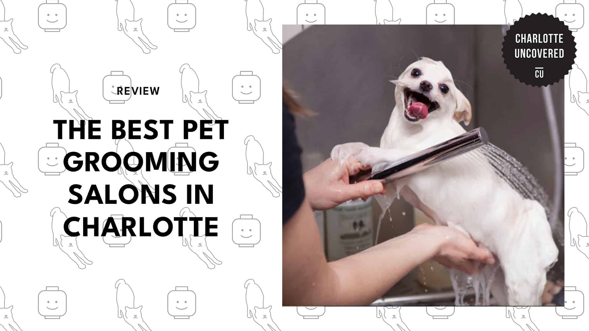 pet-grooming-salons-in-charlotte