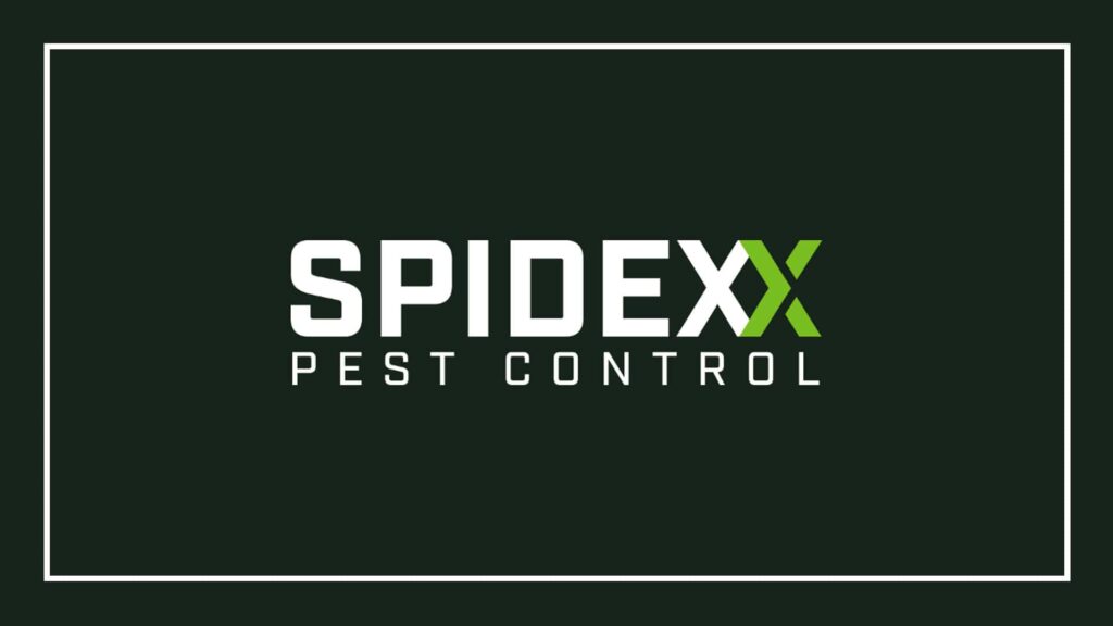 spidexx-pest-control