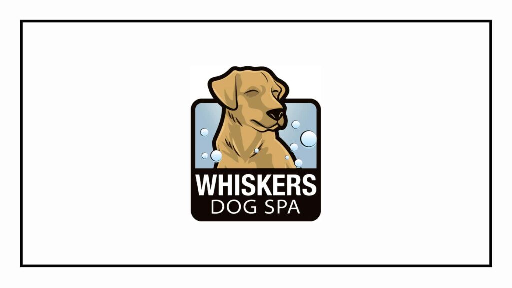 whiskers-dog-spa