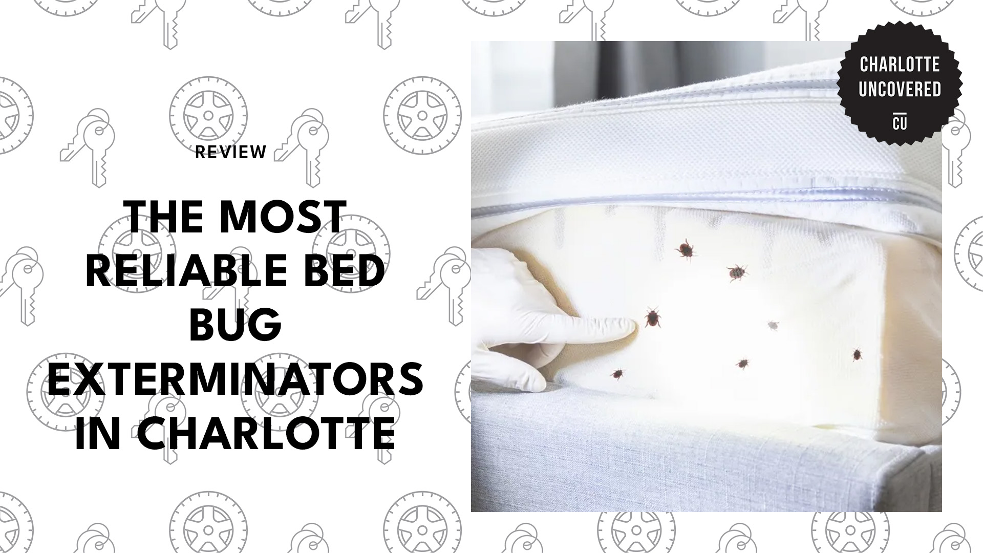 best-bed-bug-exterminators-charlotte-banner