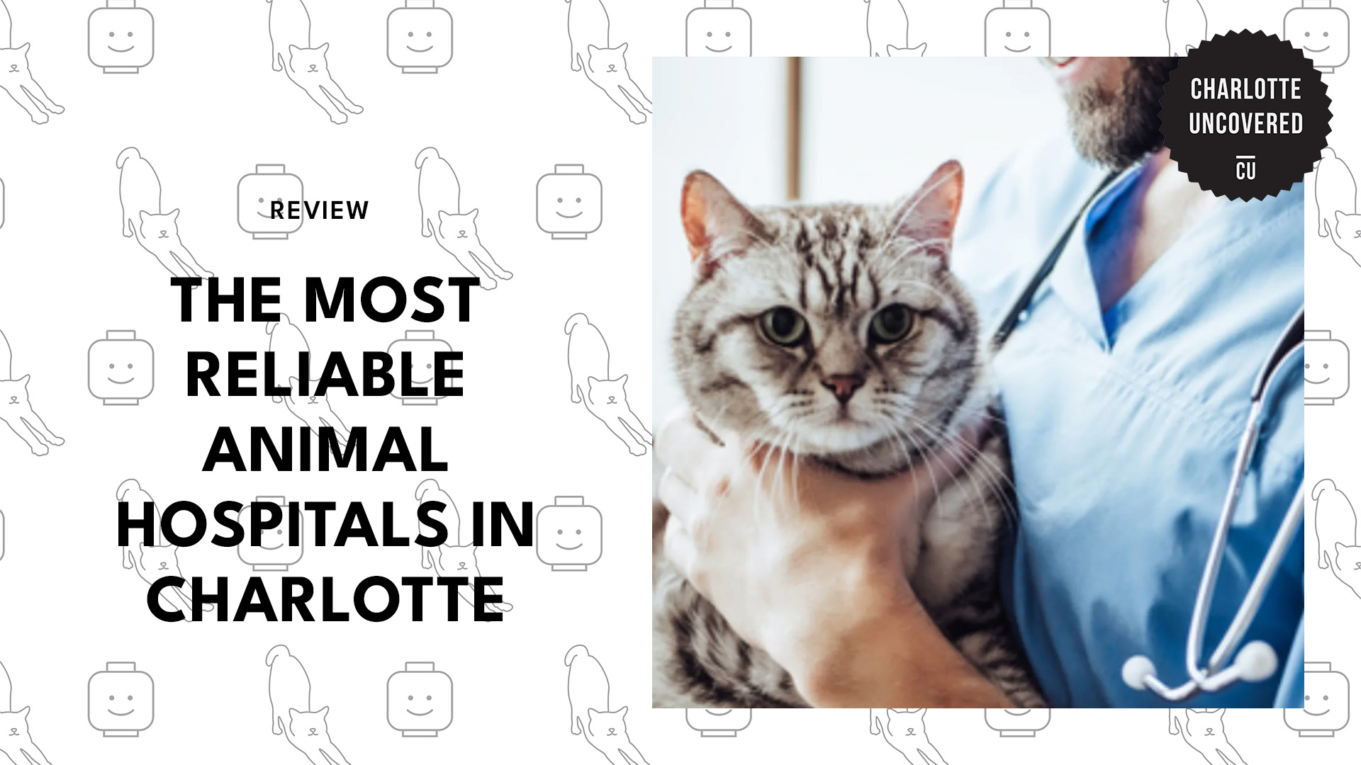 top-animal-hospitals-charlotte-banner