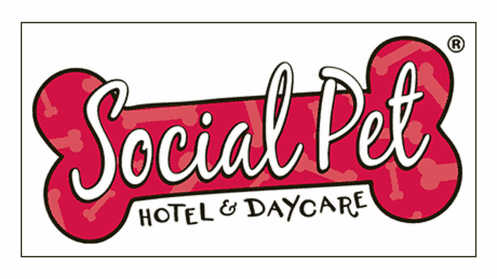 social-pet-at-charlotte