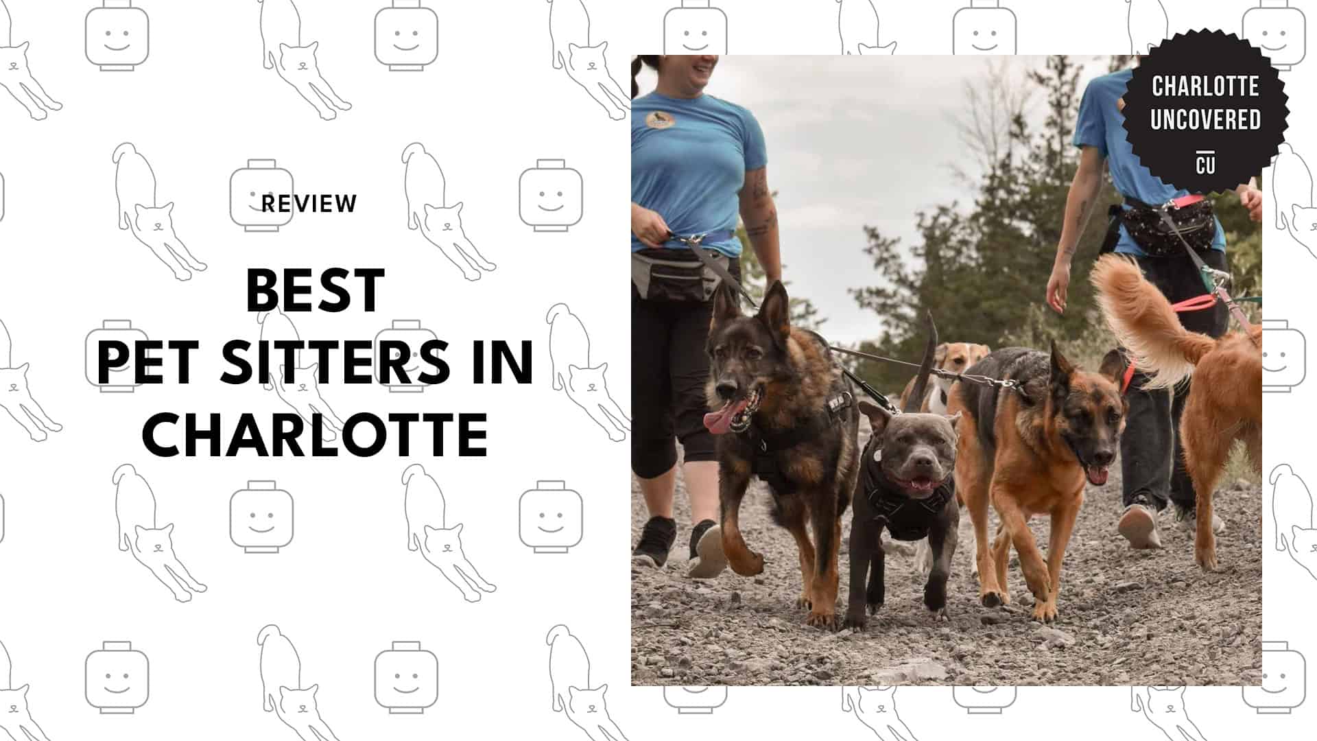 best-pet-sitters-charlotte-banner