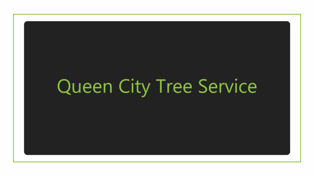 queen-city-tree-service