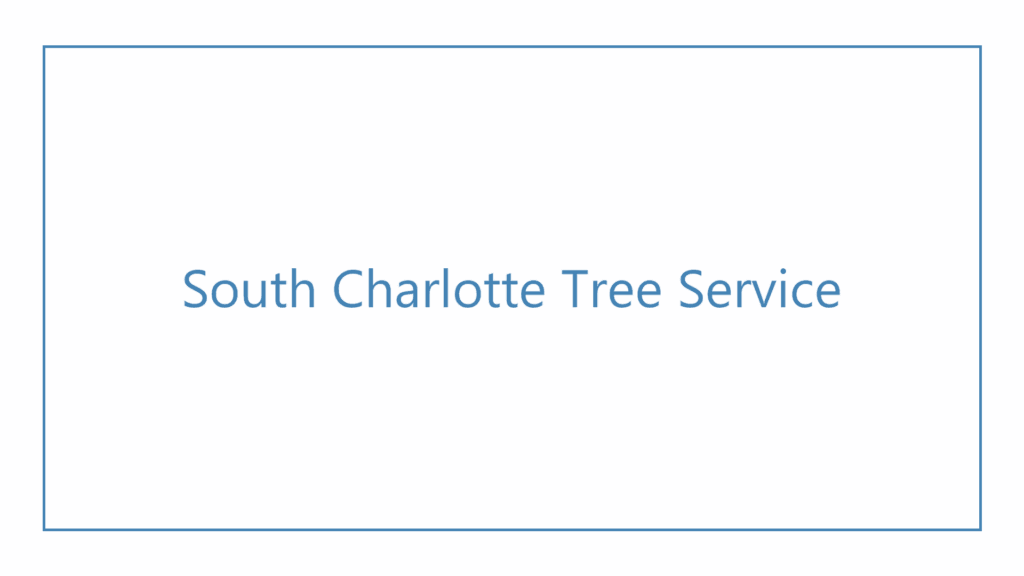 south-charlotte-tree-service