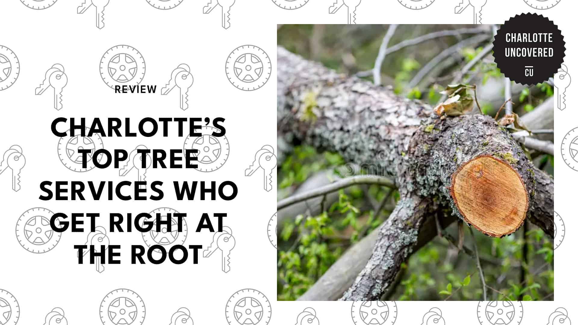 tree-services-charlotte