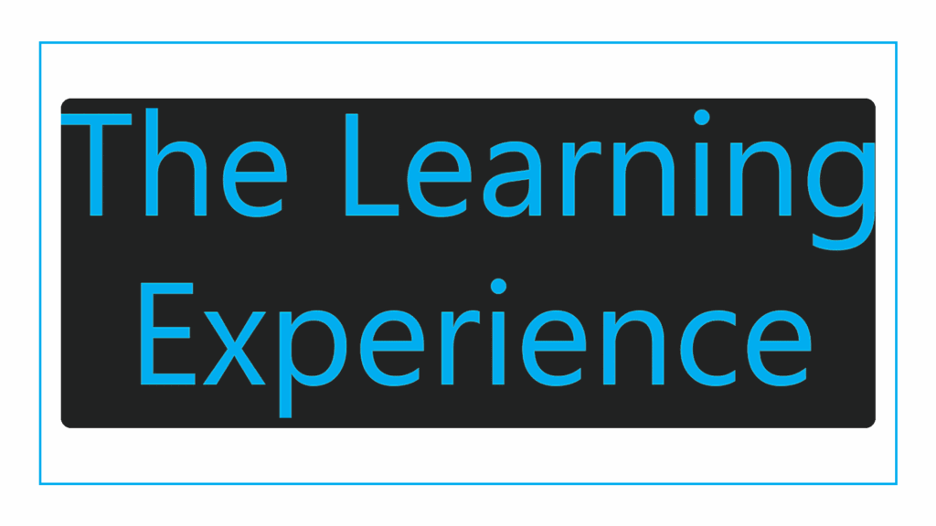 the-learning-experience