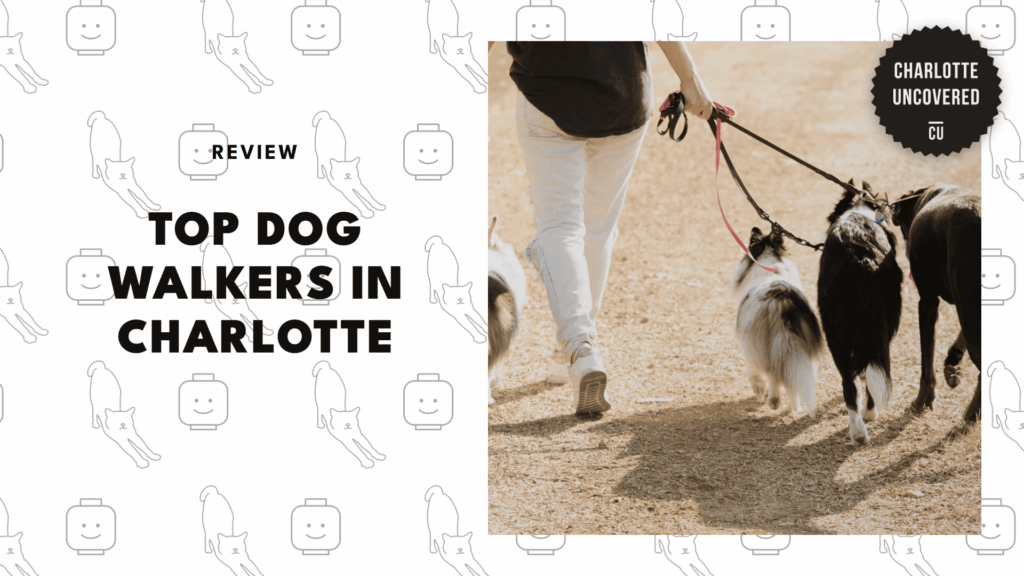 The 5 Best Dog Walkers in Charlotte Where Happy Tails Hit the Trails