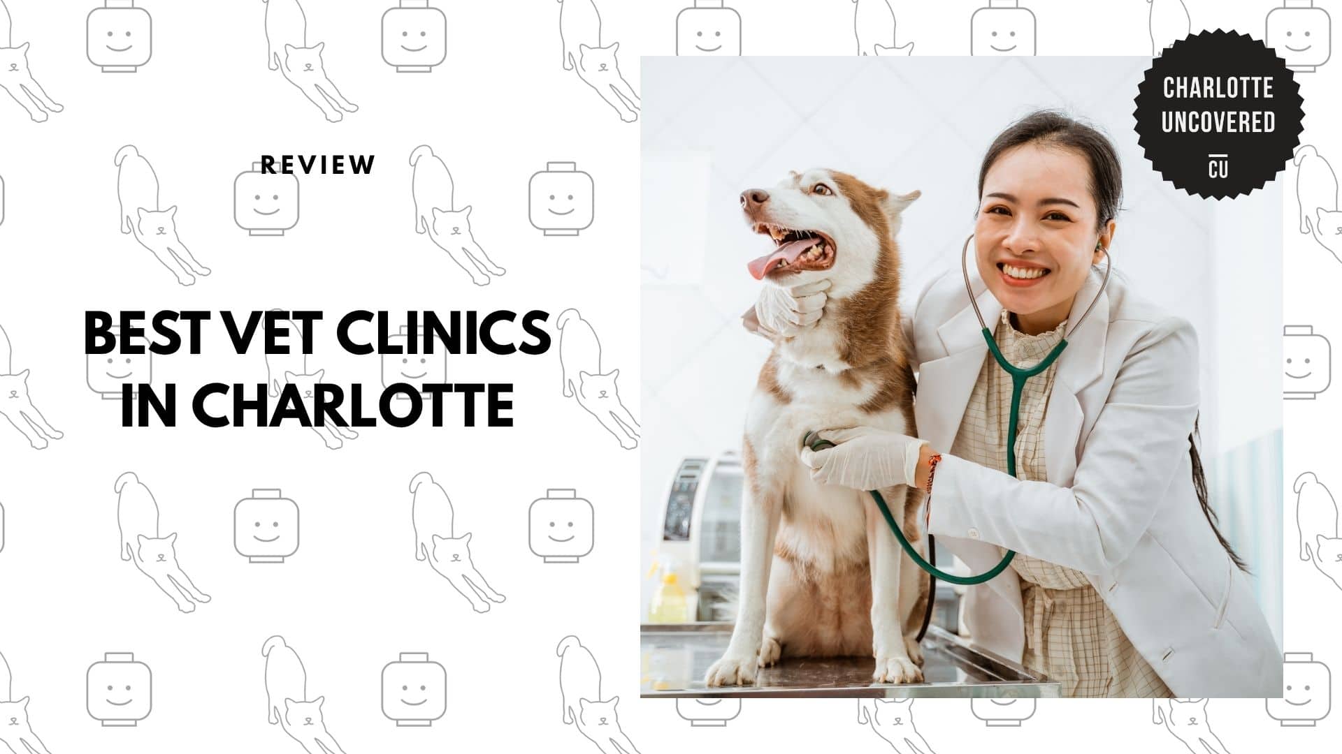 best-vets-charlotte
