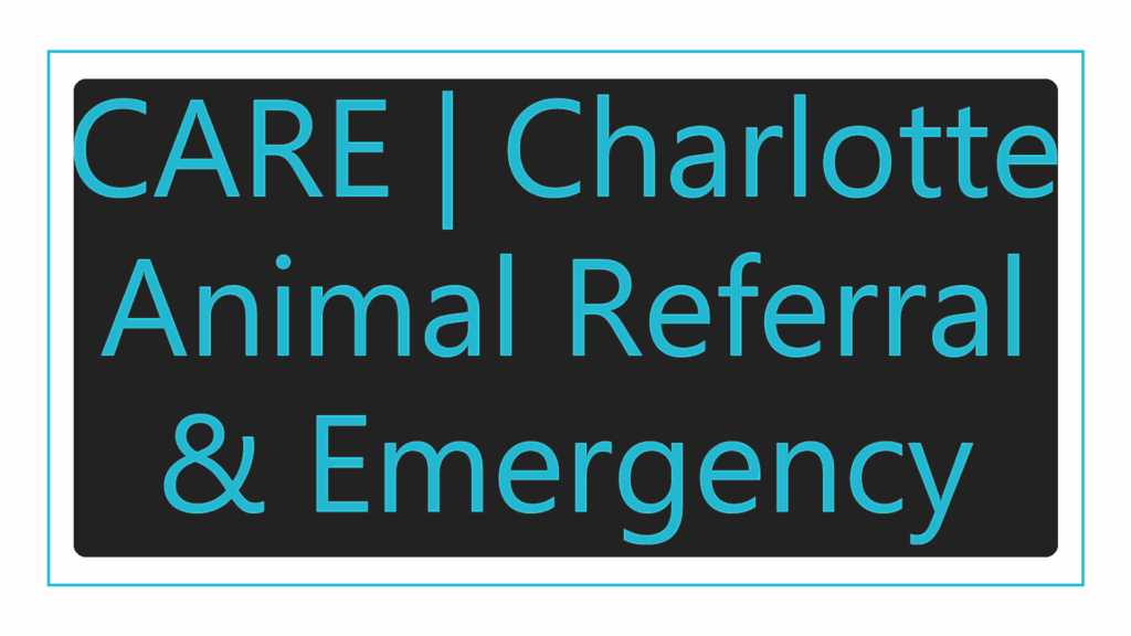 care-charlotte-animal-referral-emergency