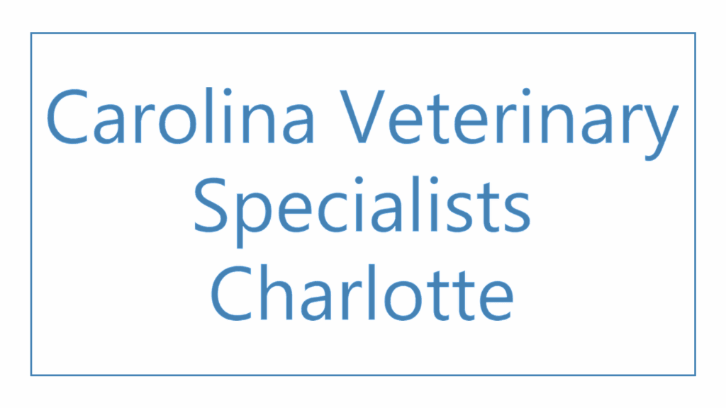 carolina-veterinary-specialists-charlotte