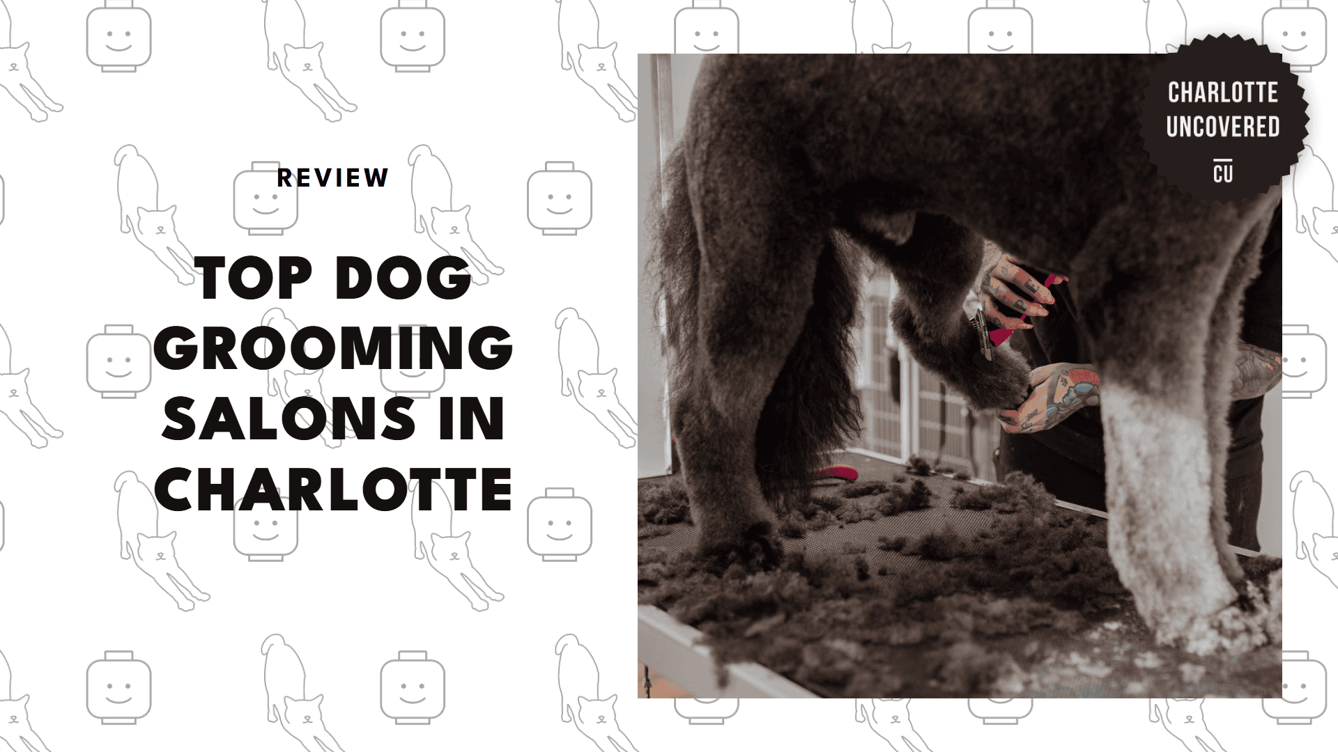 dog-grooming-salons-in-charlotte