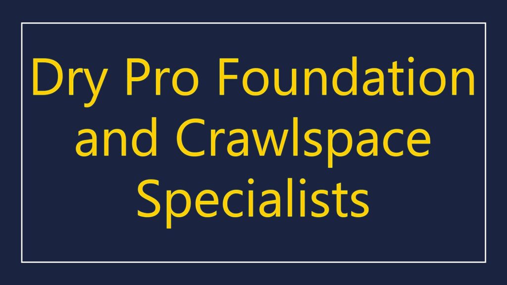 dry-pro-foundation-and-crawlspace-specialists-logo