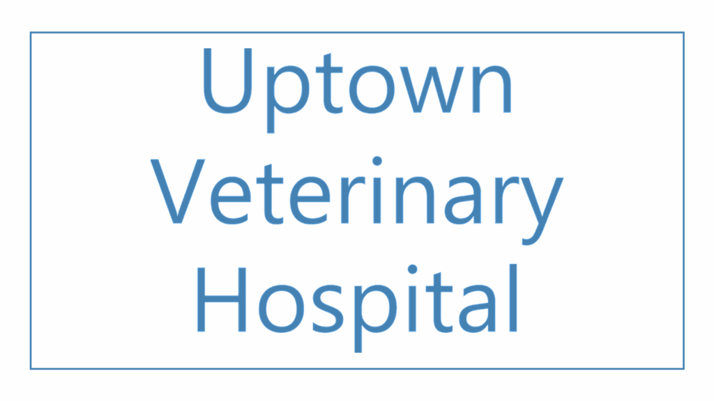 uptown-veterinary-hospital