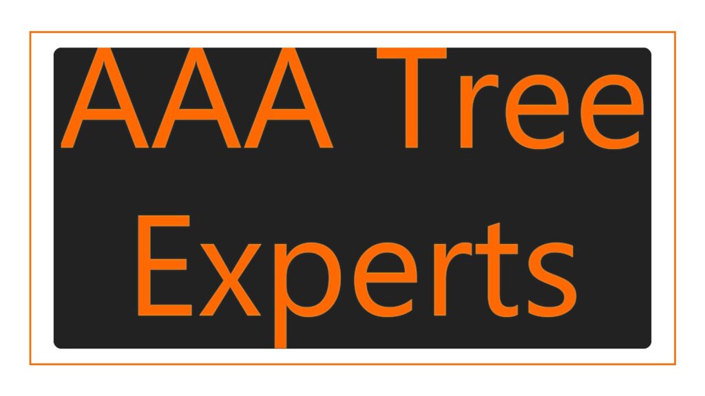 aaa-tree-experts-logo