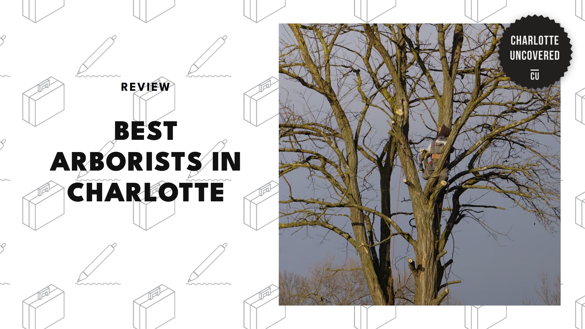 best-arborists-charlotte-banner